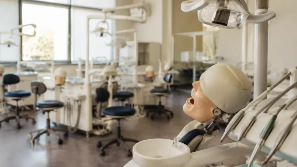 Études de dentiste en Belgique : parcours, coûts et accès réel
